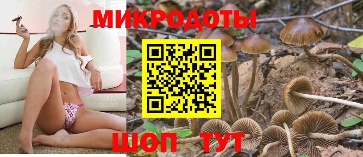 наркота  Вход с VPN  Людиново  Галлюциногенные грибы Psilocybine cubensis  Псилоцибиновые грибы мицелий 